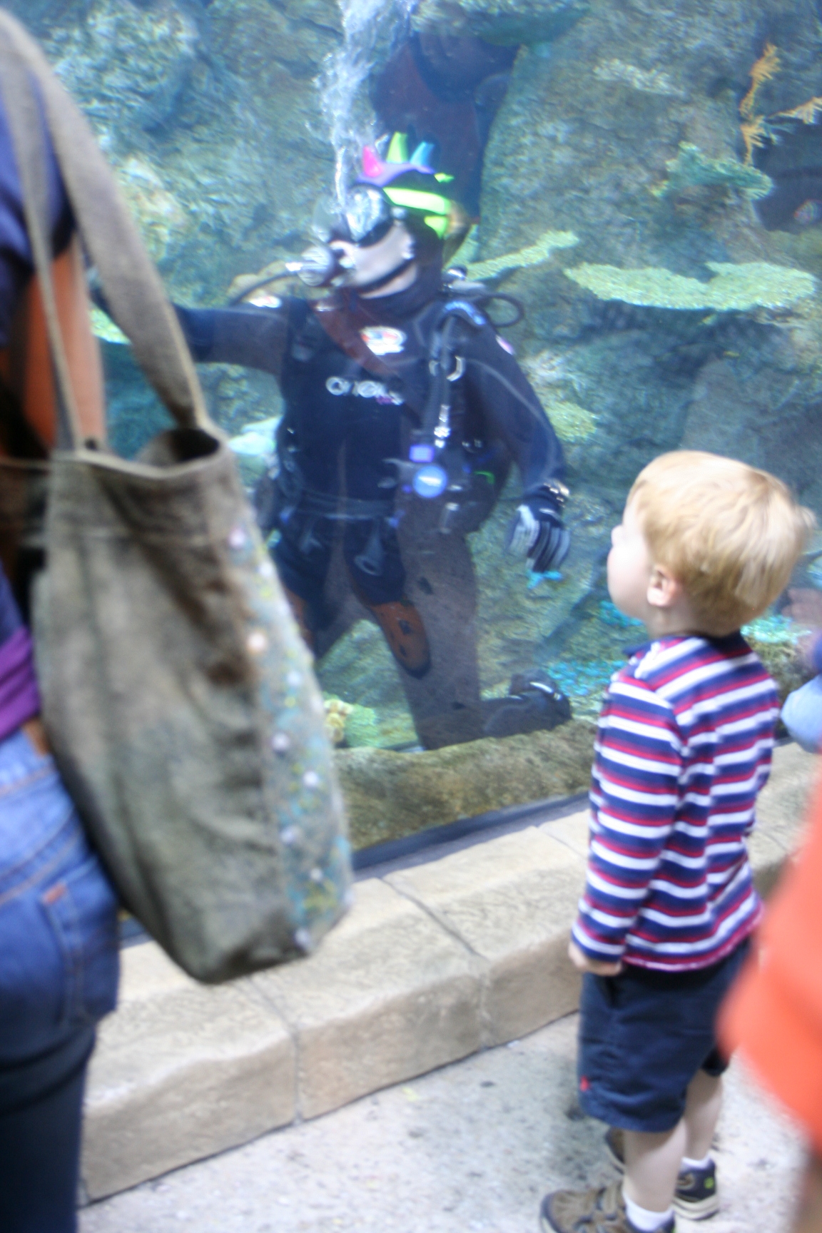 aquarium-022.jpg aquarium-022.jpg