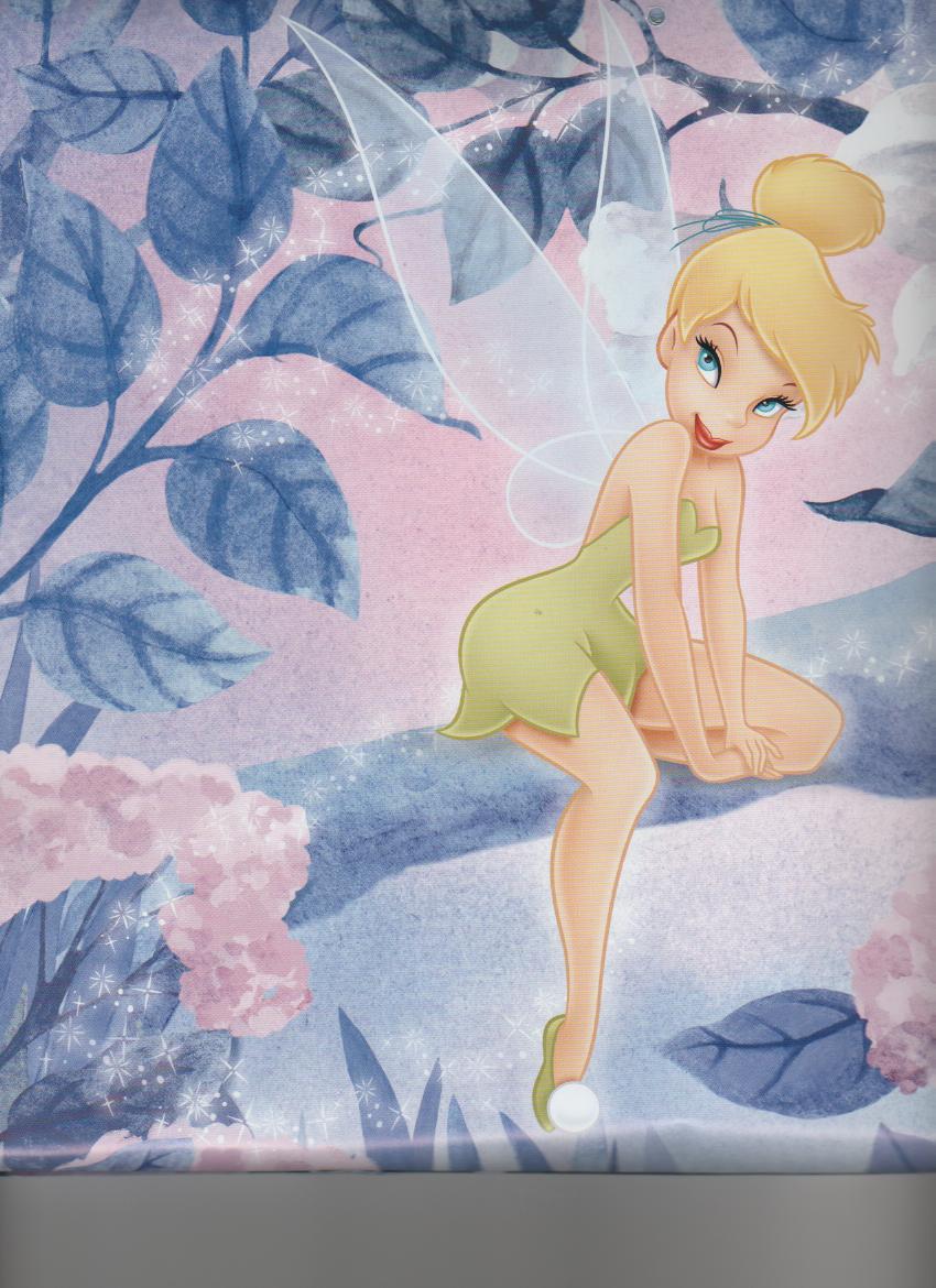 tink.jpg tink.jpg